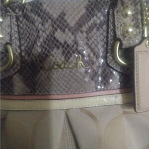 Coach Snakeskin and Leather Handbag